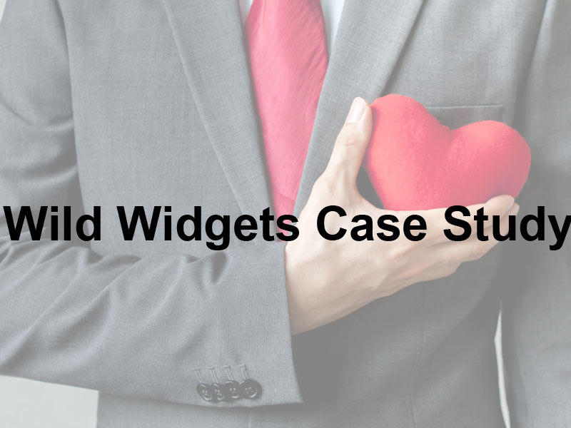 Wild Widgets Case Study white paper