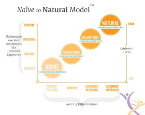 Naive to Natural Model